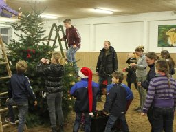 img_7881_web